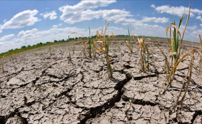 Sequía afecta a cerca de un millón de personas en la Isla