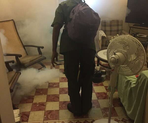 Proliferan de los focos del mosquito Aedes Aegypti en Santiago de Cuba