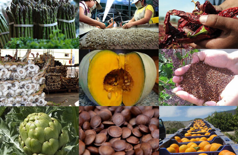 Empresas rusas insertarán productos agroindustriales en mercado cubano