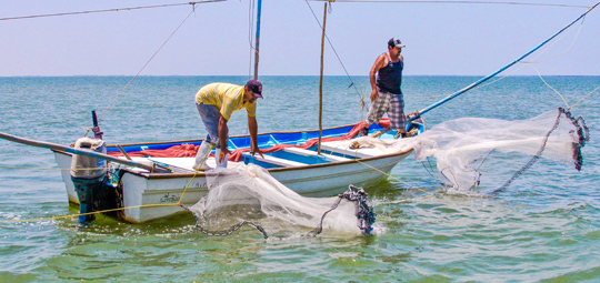 Quejas de pescadores mexicanos sobre embarcaciones cubanas