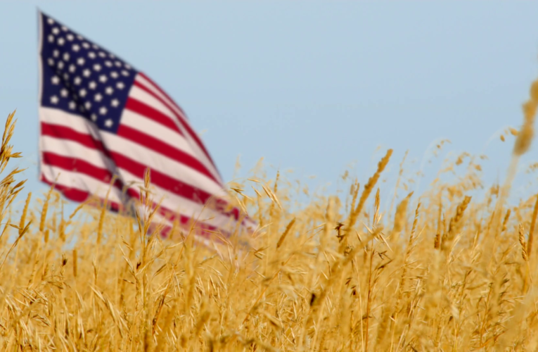 Políticos norteamericanos abogan por ventas agrícolas a la Isla