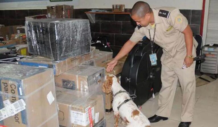 El MININT atribuye a emigrados cubanos parte del tráfico de droga hacia Cuba