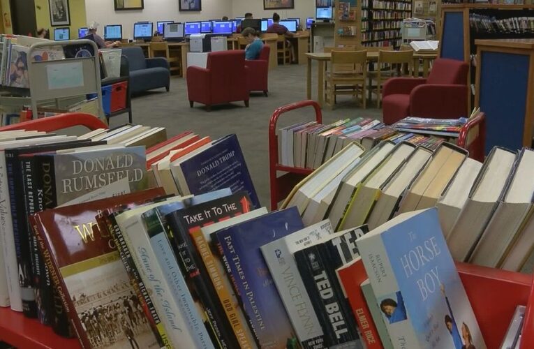 El nuevo servicio de biblioteca ofrece lectura gratuita a los niños por teléfono, las 24 horas del día.