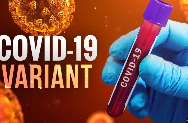 Se encontró una variante de COVID-19 más contagiosa en el condado de Jefferson, dicen funcionarios de salud.