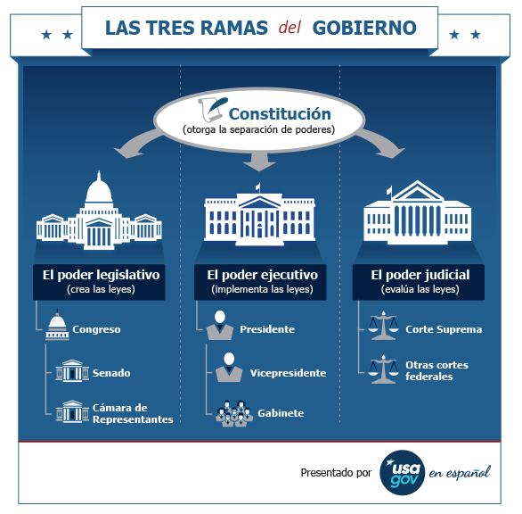 Ramas del gobierno