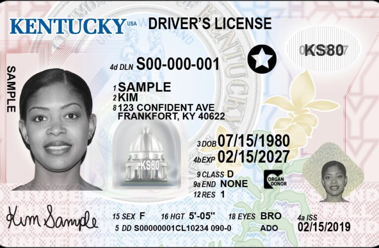 El estado avanza para acelerar el sistema de licencias de conducir