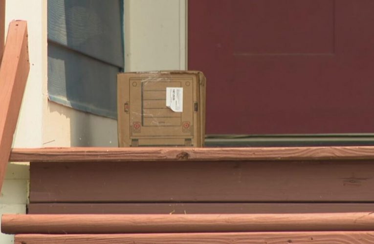 Antes de las vacaciones, un legislador de Kentucky tiene una idea para luchar contra los piratas del porche.