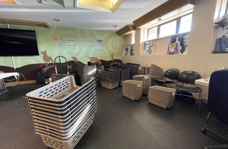 Mascotas sin hogar en KHS volaron a Massachusetts para hacer espacio para los animales desplazados por la tormenta.