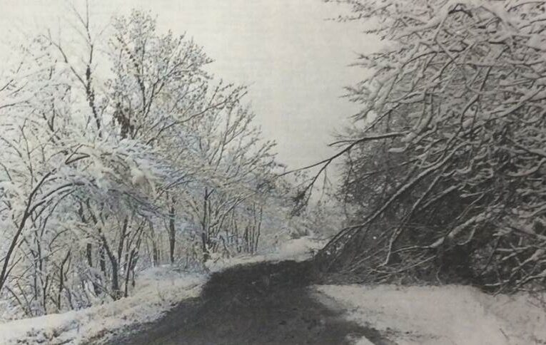 ARCHIVOS: En 1994, una nieve inolvidable cerró Louisville.