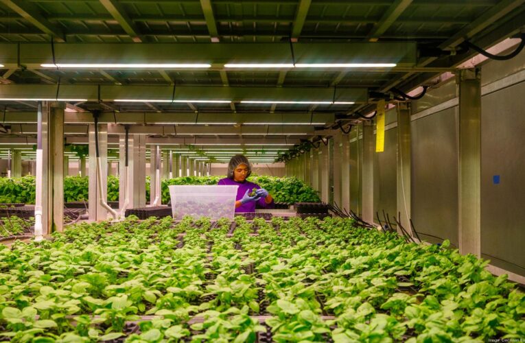 Nueva operación agrícola vertical para crear 125 puestos de trabajo en el condado de Boone.