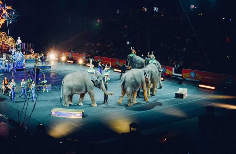 Kosair Shrine Circus regresa a Louisville esta semana