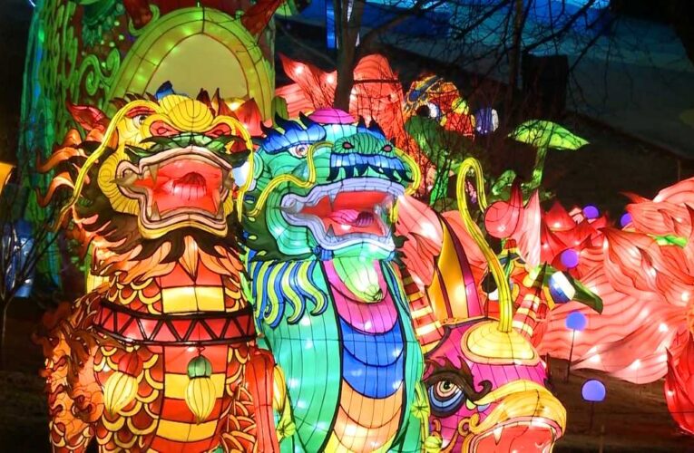 El gran festival de linternas del zoológico de Louisville ‘Wild Lights’ regresa en 2022.