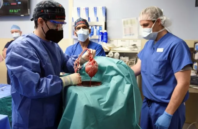 Muere el primer paciente que recibió trasplante de corazón de cerdo
