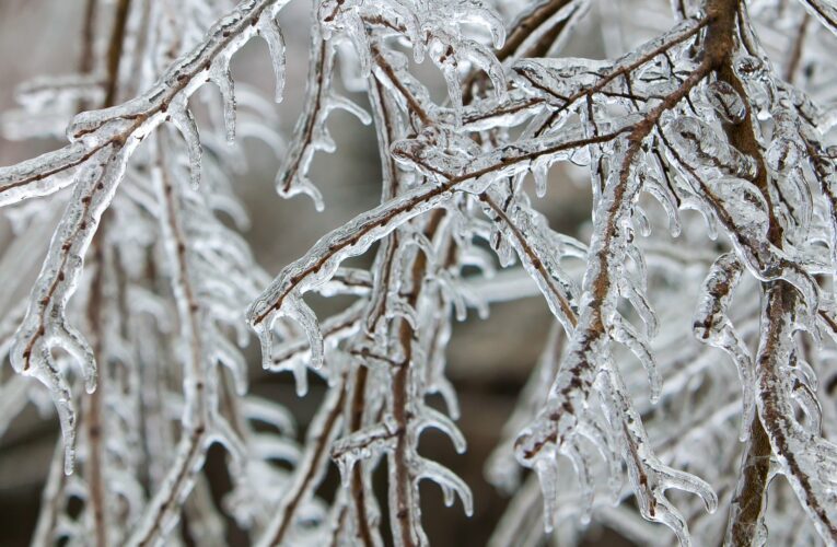 Aviso de heladas: las temperaturas caen el miércoles por la mañana.