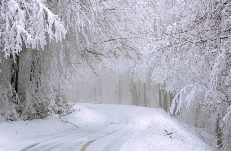 Una mujer sobrevive seis días en un bosque nevado con un yogur diario y comiendo nieve