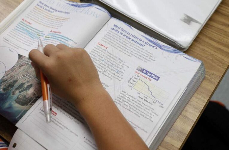 Florida rechaza el 41% de los nuevos libros de texto de matemáticas, citando la teoría crítica de la raza entre sus razones