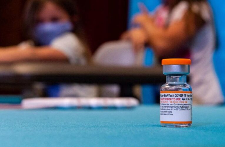 EE. UU.: la vacuna contra el COVID-19 de Pfizer parece efectiva para niños menores de 5 años