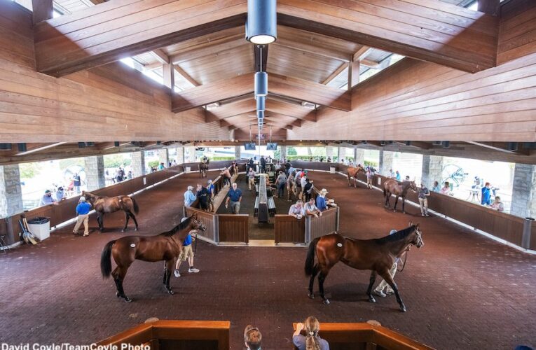 La venta de Yearling de septiembre en Keeneland abre el lunes