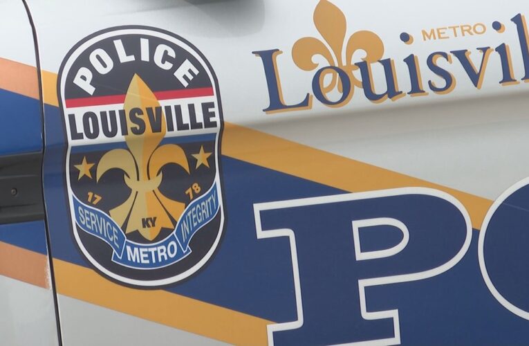 Locales: Alerta sobre licencias de conducir falsas