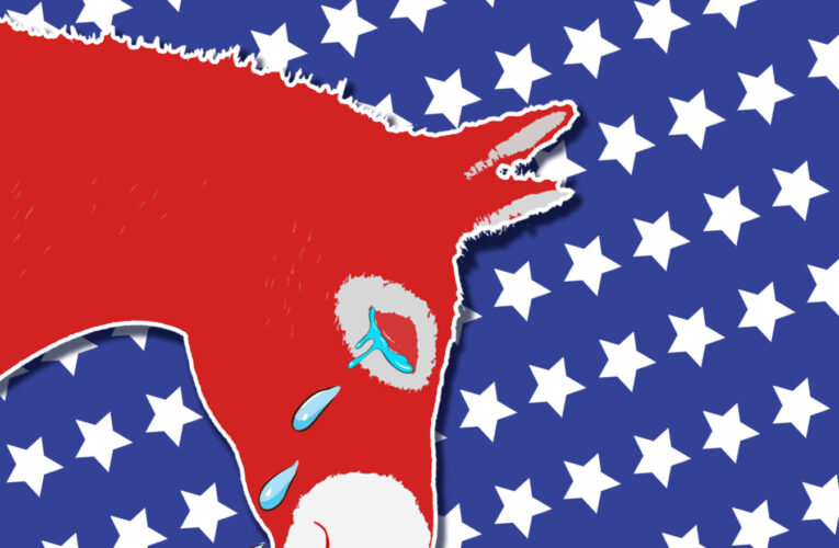 Mayoritario rechazo al viraje socialista del Partido Demócrata