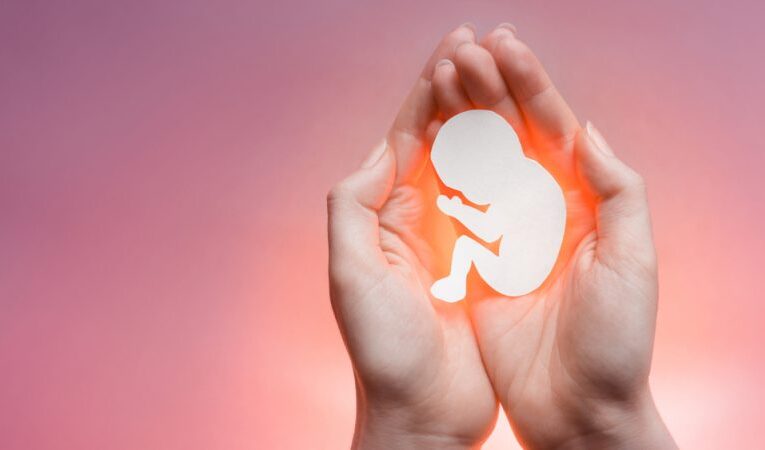 Una enmienda constitucional sobre el aborto estará en la boleta electoral en Kentucky en noviembre