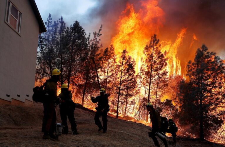 Docenas de equipos de bomberos trabajan para extinguir el incendio forestal que afectó a 25 acres