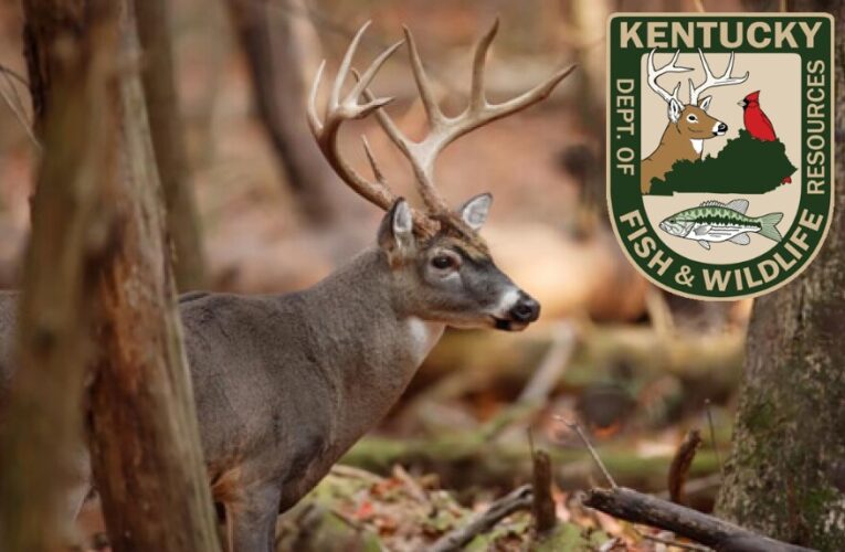 La temporada de caza de ciervos con armas modernas en Kentucky comienza el 12 de noviembre