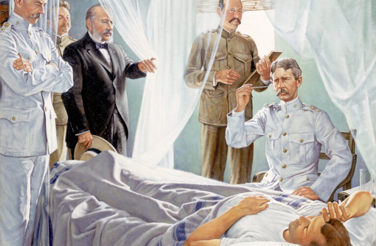 3 de diciembre: ¡Enhorabuena los galenos en su día!