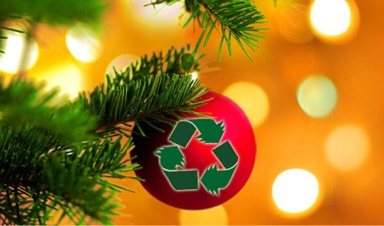 Recicla tu árbol navideño, luces