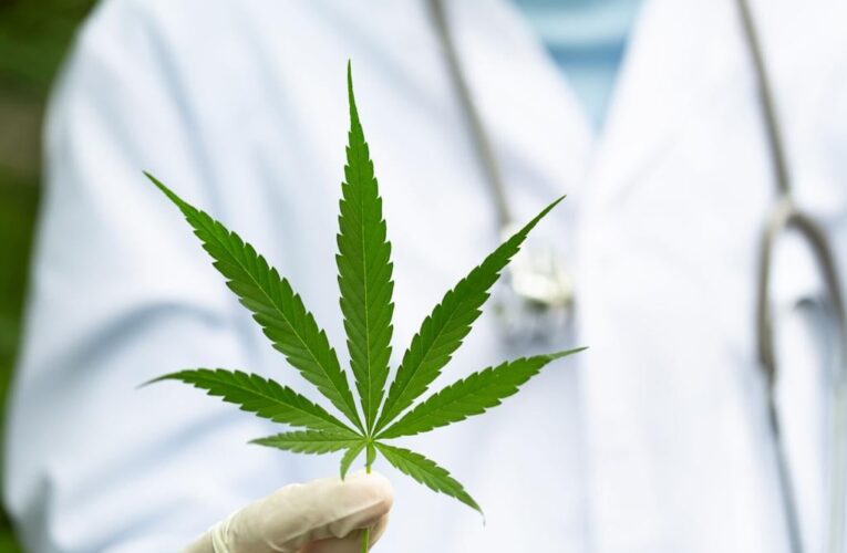 Cuidado con los negocios depredadores de cannabis en Kentucky que venden tarjetas médicas