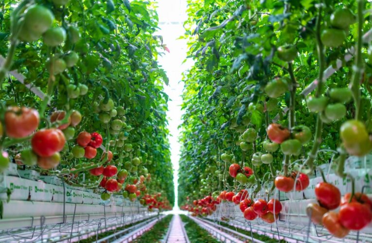 El programa “Fresh Fridge” se expandirá y proporcionará alimentos frescos a los habitantes de Kentucky vulnerables