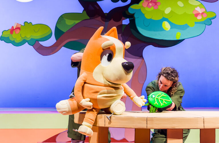 ‘Bluey’ en vivo en el escenario llegará a Louisville este año