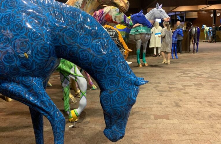 Horse Mania ‘Hero Horse’ regresa a su hogar en Somerset