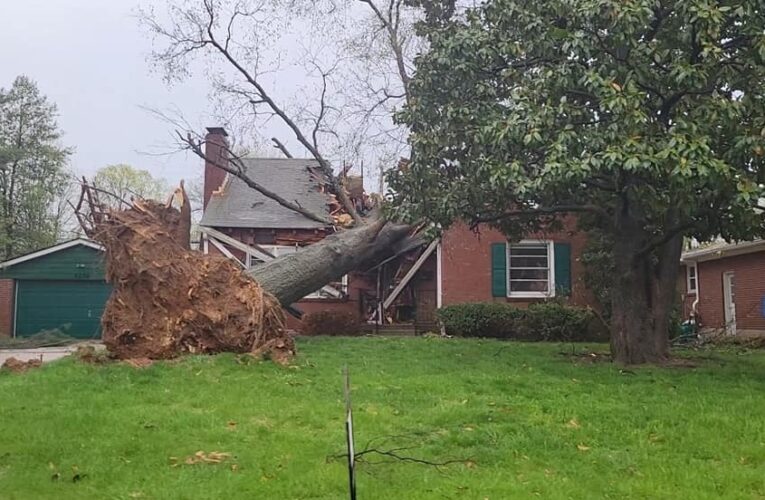 Fuertes vientos, 2 tornados, dejan un camino de destrucción en el vecindario Newburg de Louisville