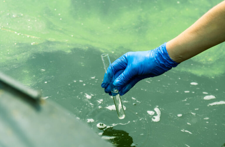 Louisville Water Company publica un informe anual sobre la calidad del agua y recibe elogios por sus buenas calificaciones