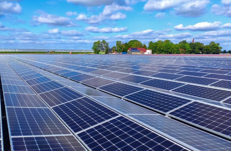 Frankfort celebra su primera granja solar en la búsqueda de obtener toda la energía de fuentes renovables