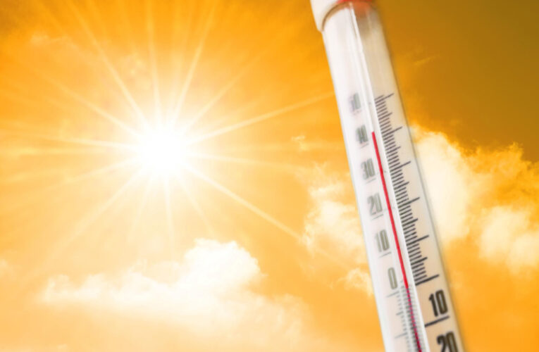 Julio es el mes más caluroso jamás registrado, confirma OMM