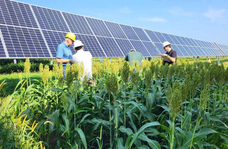 Encuesta: La liquidez y los ingresos agrícolas serán las principales preocupaciones de los prestamistas agrícolas en 2023
