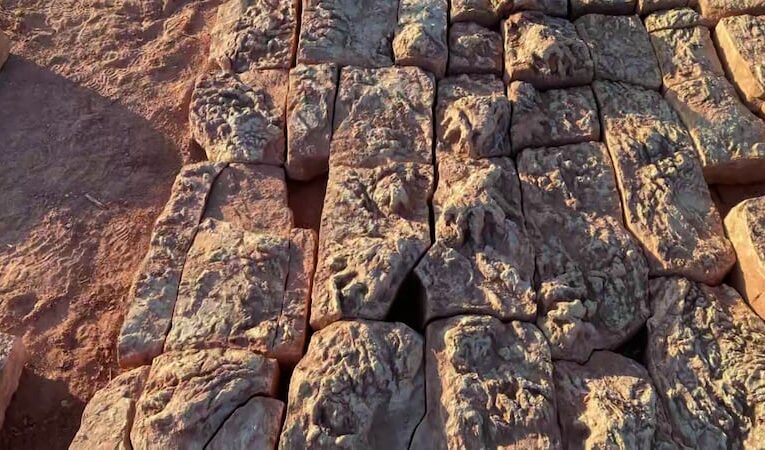 Hombre encuentra en su propiedad cientos de huellas anteriores a los dinosaurios