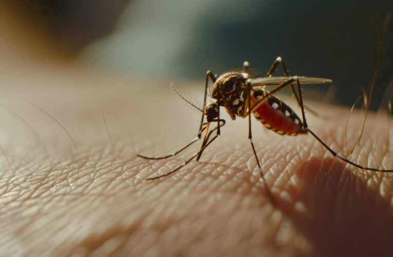 Viajero de Cuba reporta el primer caso de virus Oropouche en el condado de Jefferson