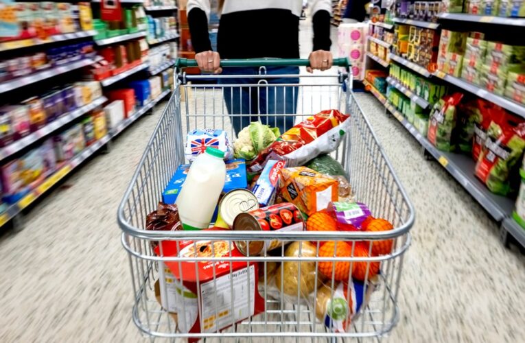 Nueva base de datos revela qué tan procesados están los alimentos en tres grandes cadenas de supermercados