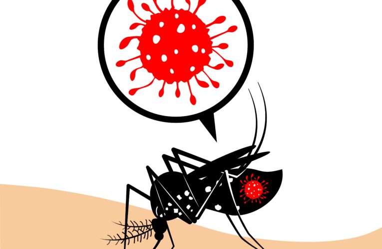 Los funcionarios de Louisville Metro Health alertan al público sobre el aumento de casos del virus del Nilo Occidental