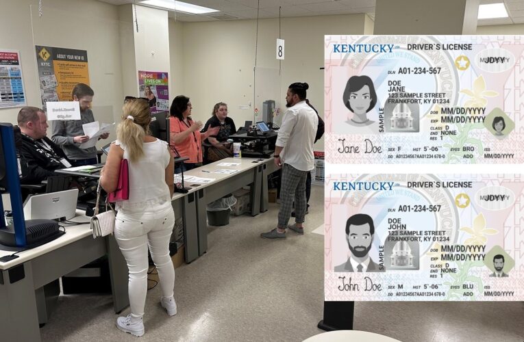 Informaciones y consejos: Cómo obtener y renovar tu licencia de conducir en Kentucky