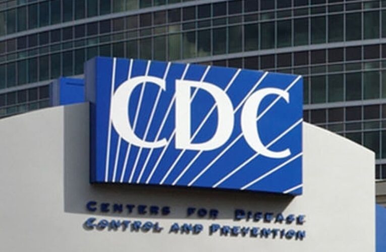 Los CDC advierten sobre infecciones por salmonela resistentes a los medicamentos vinculadas a las aves de corral criadas en patios traseros.